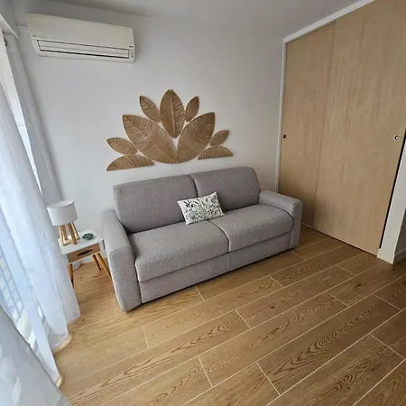 Elegant And Well-equipped T1 Bis