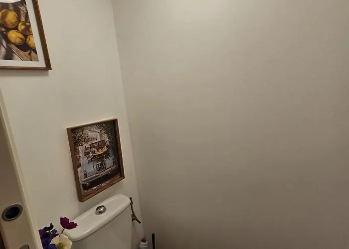 Elegant And Well-equipped T1 Bis Apartment *