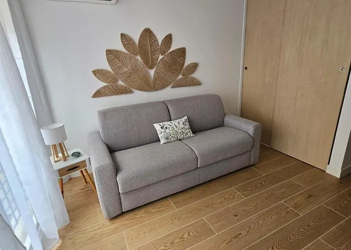 Elegant And Well-equipped T1 Bis